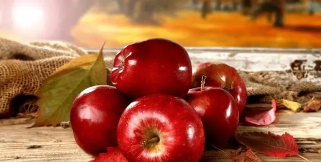 7af40ad162d9f2d3bdc205a5f0ef451d6227ccbf.webp
